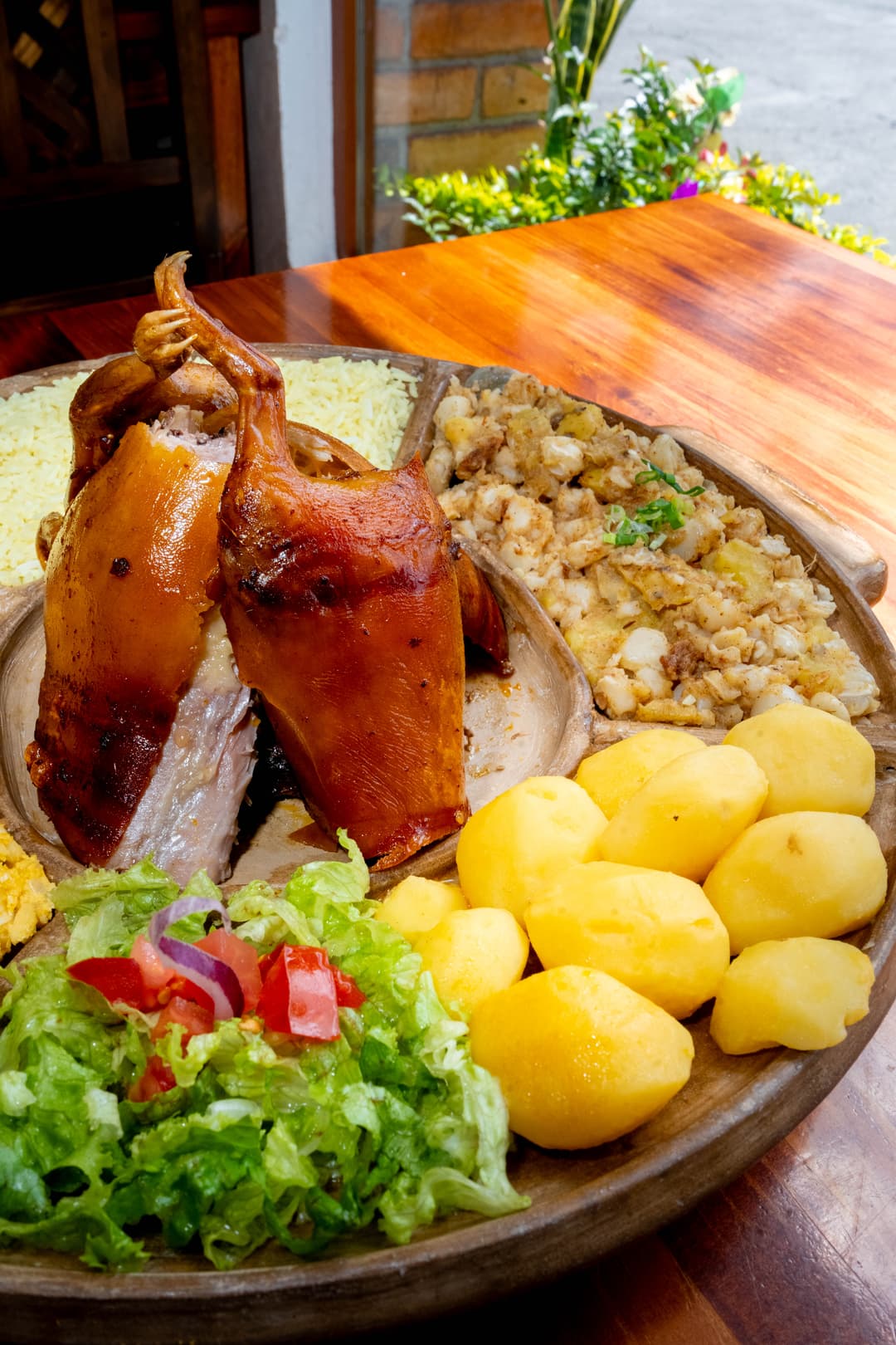 Medio Cuy de Marabú